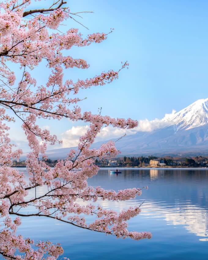 strabilia agenzia di viaggi promo viaggio in giappone in primavera (12)