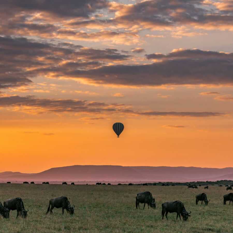 strabilia viaggi organizzati tanzania promo 2024 (4)