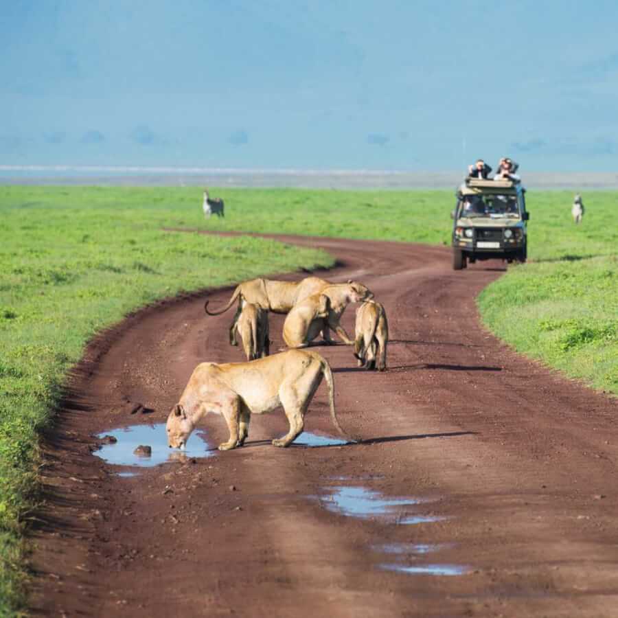 strabilia viaggi organizzati tanzania promo 2024 (7)